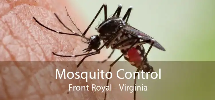 Mosquito Control Front Royal - Virginia