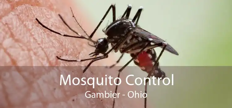 Mosquito Control Gambier - Ohio