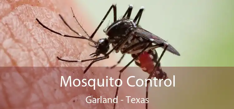 Mosquito Control Garland - Texas