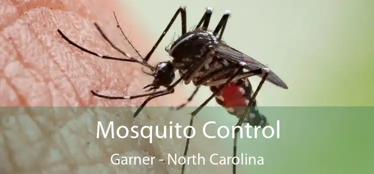 Mosquito Control Garner - North Carolina