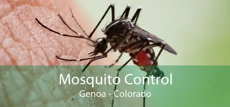 Mosquito Control Genoa - Colorado