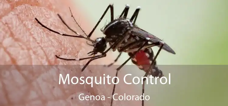 Mosquito Control Genoa - Colorado