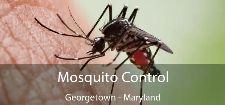 Mosquito Control Georgetown - Maryland