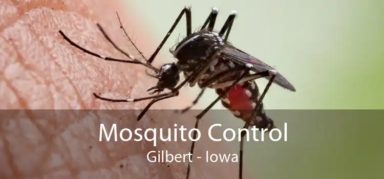 Mosquito Control Gilbert - Iowa