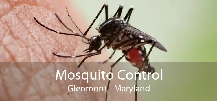 Mosquito Control Glenmont - Maryland