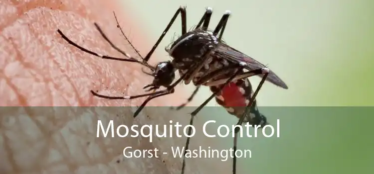 Mosquito Control Gorst - Washington
