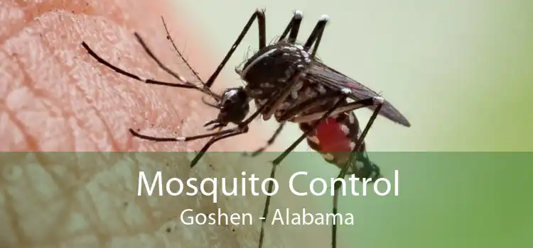 Mosquito Control Goshen - Alabama