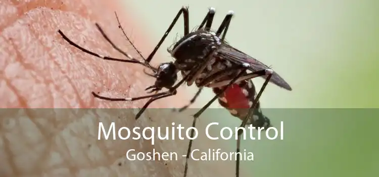 Mosquito Control Goshen - California