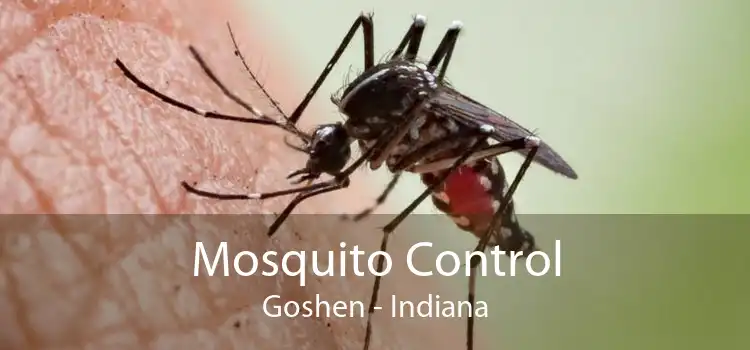 Mosquito Control Goshen - Indiana