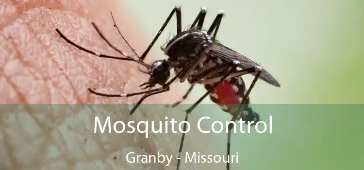 Mosquito Control Granby - Missouri