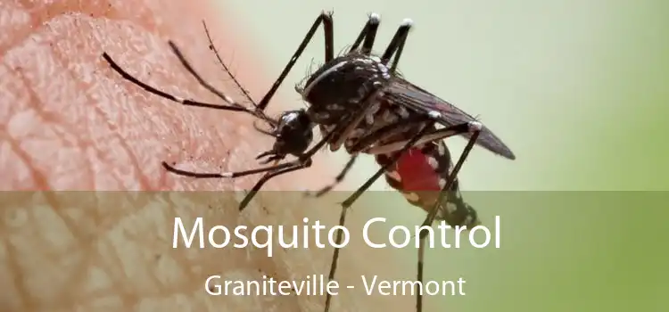 Mosquito Control Graniteville - Vermont
