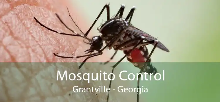 Mosquito Control Grantville - Georgia