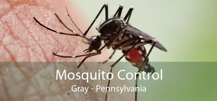 Mosquito Control Gray - Pennsylvania