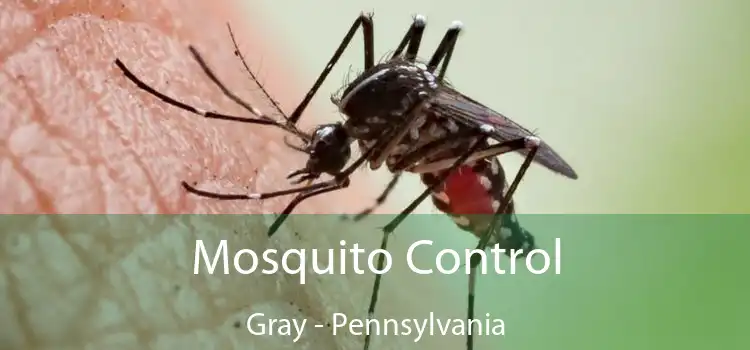 Mosquito Control Gray - Pennsylvania