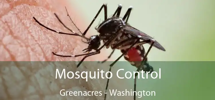 Mosquito Control Greenacres - Washington