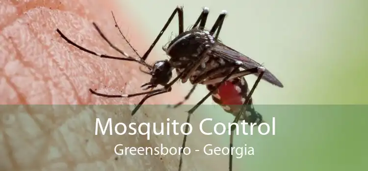 Mosquito Control Greensboro - Georgia
