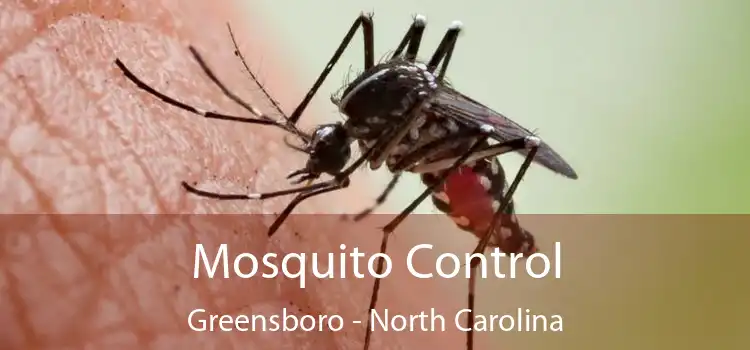 Mosquito Control Greensboro - North Carolina