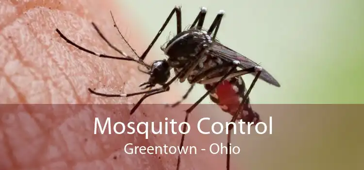 Mosquito Control Greentown - Ohio