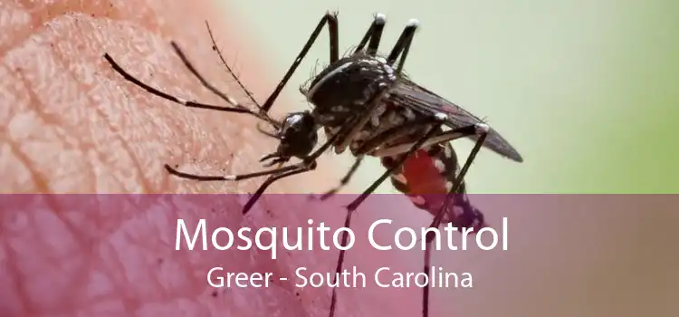Mosquito Control Greer - South Carolina