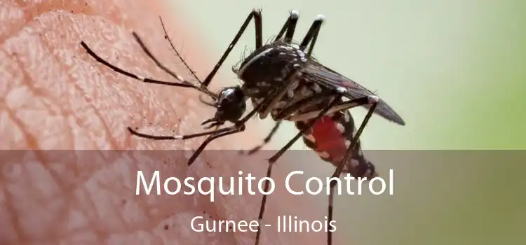 Mosquito Control Gurnee - Illinois