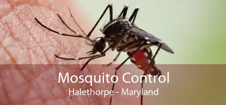 Mosquito Control Halethorpe - Maryland