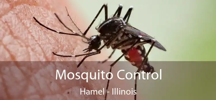 Mosquito Control Hamel - Illinois