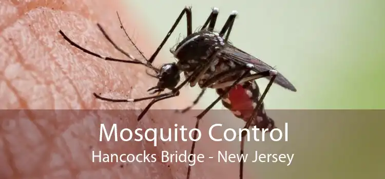 Mosquito Control Hancocks Bridge - New Jersey