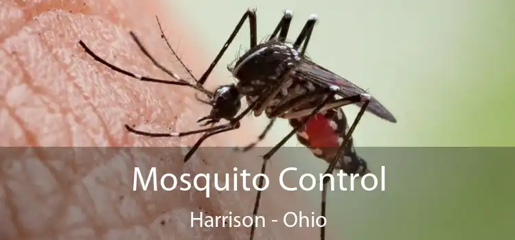 Mosquito Control Harrison - Ohio