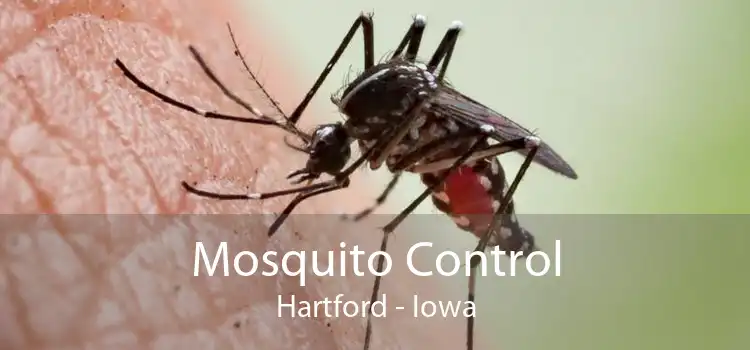 Mosquito Control Hartford - Iowa