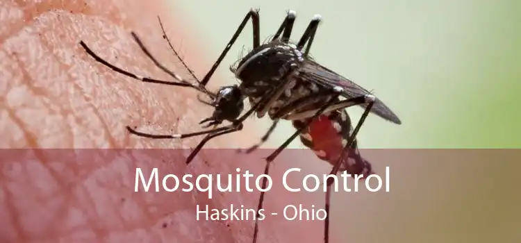 Mosquito Control Haskins - Ohio