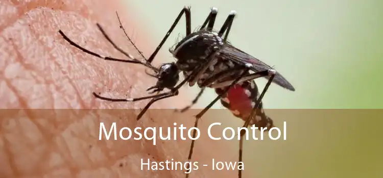 Mosquito Control Hastings - Iowa