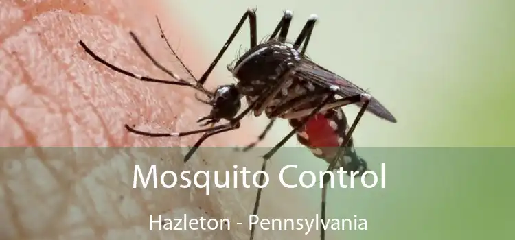 Mosquito Control Hazleton - Pennsylvania