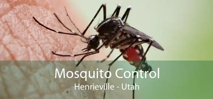 Mosquito Control Henrieville - Utah