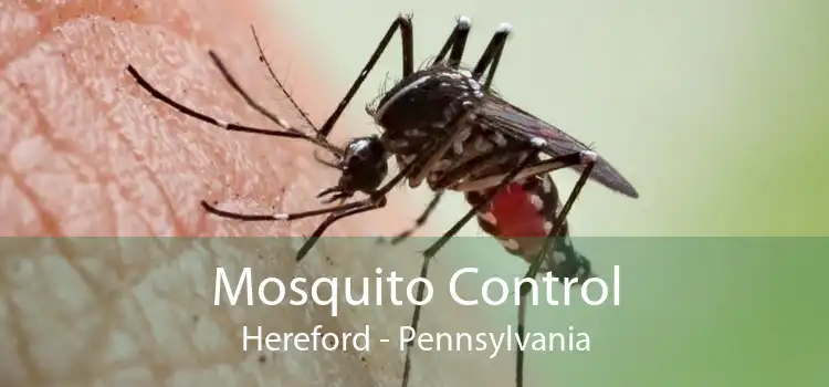 Mosquito Control Hereford - Pennsylvania