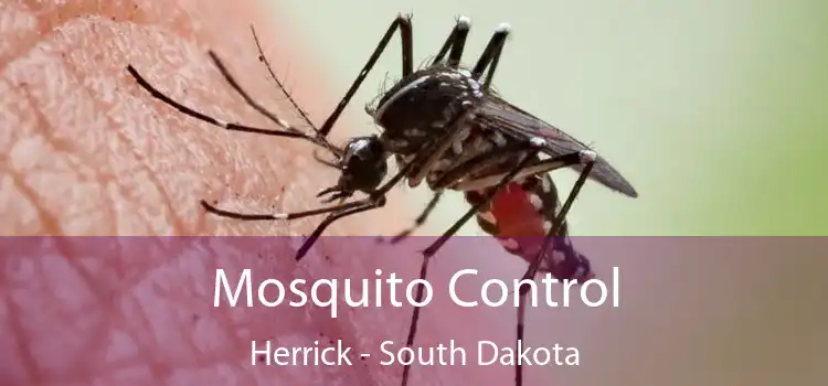 Mosquito Control Herrick - South Dakota