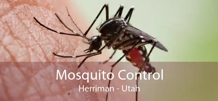 Mosquito Control Herriman - Utah