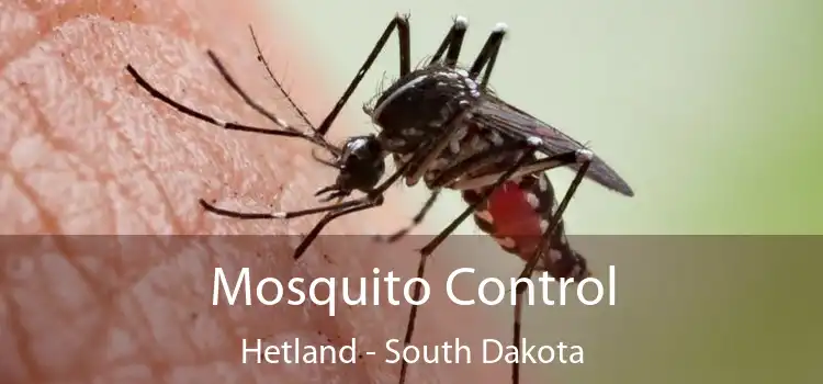 Mosquito Control Hetland - South Dakota