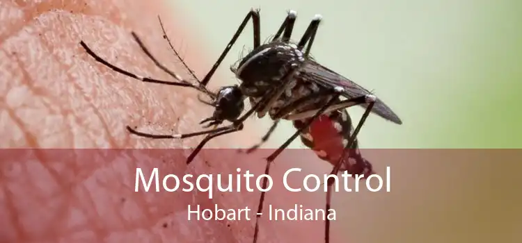 Mosquito Control Hobart - Indiana