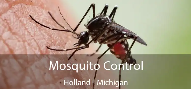 Mosquito Control Holland - Michigan