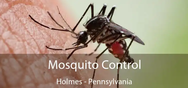 Mosquito Control Holmes - Pennsylvania