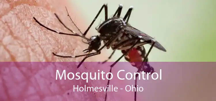 Mosquito Control Holmesville - Ohio
