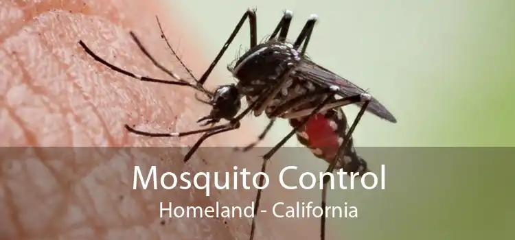 Mosquito Control Homeland - California