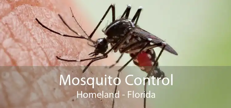 Mosquito Control Homeland - Florida