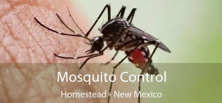 Mosquito Control Homestead - New Mexico