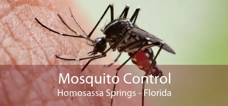 Mosquito Control Homosassa Springs - Florida
