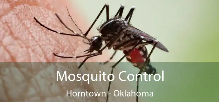 Mosquito Control Horntown - Oklahoma
