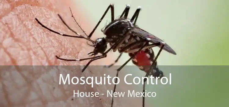 Mosquito Control House - New Mexico