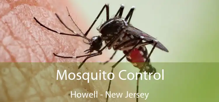 Mosquito Control Howell - New Jersey