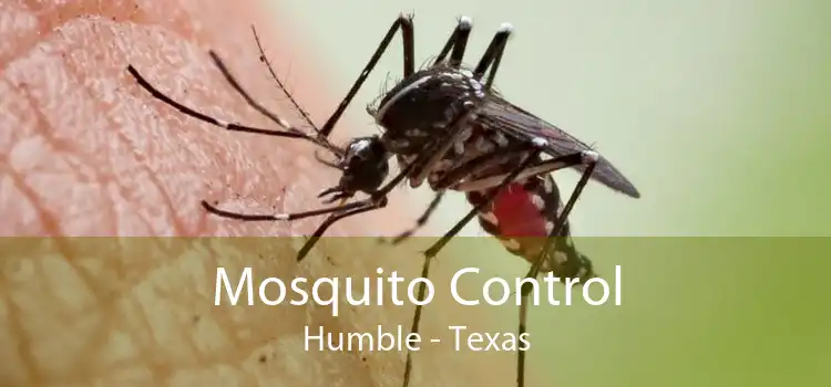 Mosquito Control Humble - Texas