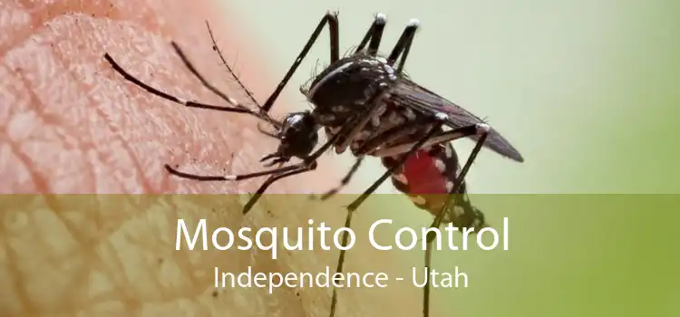 Mosquito Control Independence - Utah